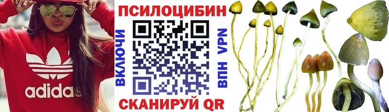 что такое наркотик  Инсар  Псилоцибиновые грибы мухоморы 